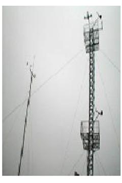 �y�L(f��ng)��