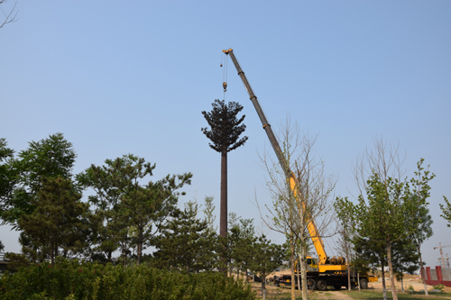 �F���C�ϴ��S�����������